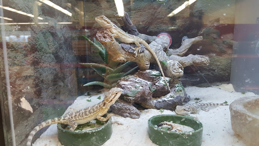 Pet Supply Store «Petco Animal Supplies», reviews and photos, 1400f 75th St, Downers Grove, IL 60516, USA