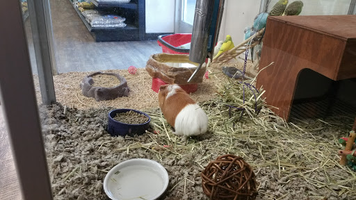 Pet Store «Kahoots Feed & Pet Store», reviews and photos, 16851 Van Buren Blvd, Riverside, CA 92504, USA