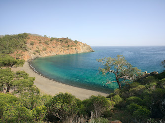 Maden Koyu - Beach