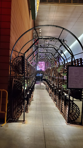 Immigration Attorney «Harlan York and Associates», reviews and photos