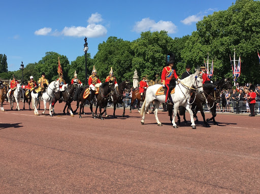 Travel Agency «Kingsbridge Travel», reviews and photos, 10006 Cross Creek Blvd #414, Tampa, FL 33647, USA