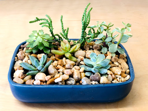 Florist «Hobby Hill Florist Inc», reviews and photos, 541 N Ridgewood Dr, Sebring, FL 33870, USA