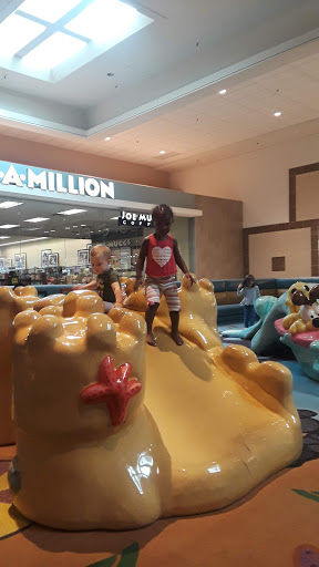 Book Store «Books-A-Million», reviews and photos, 1700 W International Speedway Blvd, Daytona Beach, FL 32114, USA