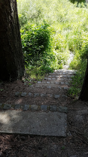 Park «Foege Park», reviews and photos, 125 NW Cedar Hills Blvd, Portland, OR 97229, USA