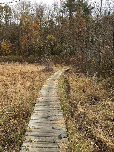 Park «Carney Park», reviews and photos, 386 W Main St, Northborough, MA 01532, USA