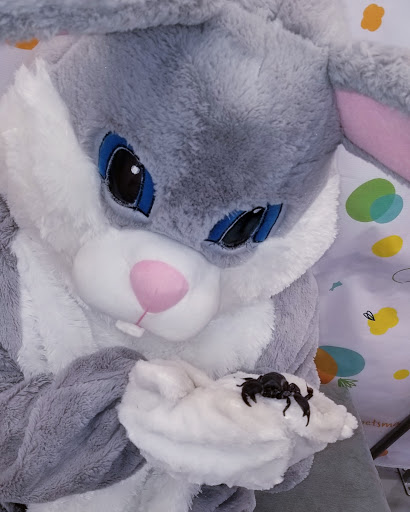 Pet Store «PetSmart», reviews and photos, 17150 Ventura Blvd, Encino, CA 91316, USA