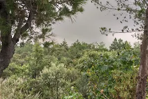 Reserva Ecológica del Pedregal de San Ángel image