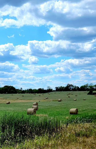 Golf Course «Neshanic Valley Golf Course», reviews and photos, 2301 S Branch Rd, Neshanic Station, NJ 08853, USA