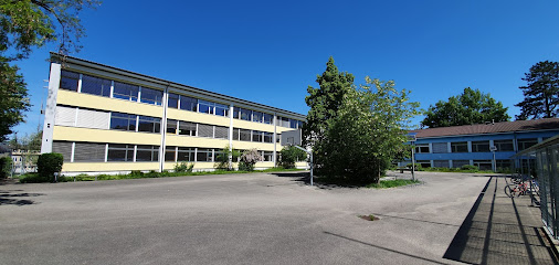 Schule Liebefeld Steinhölzli