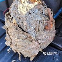 Green Pest Management - Photo 6 - Car repair in New Castle, DE, Dover