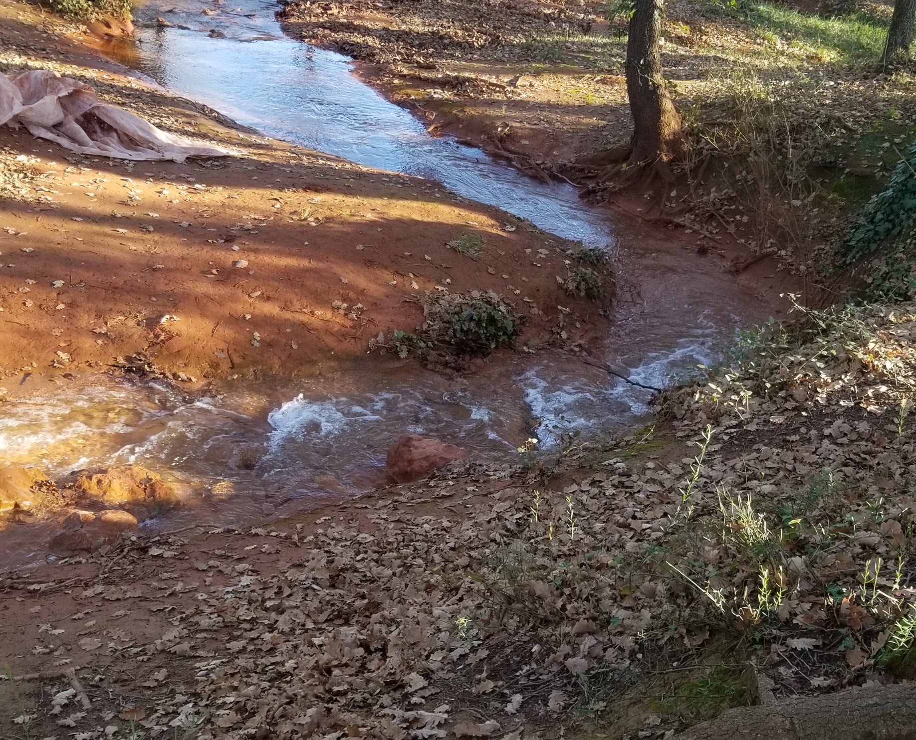 Photo n° 1 de l'avis de A..o fait le 03/01/2019 à 15:00
