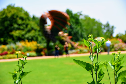 Botanical Garden «Atlanta Botanical Garden», reviews and photos, 1345 Piedmont Ave NE, Atlanta, GA 30309, USA