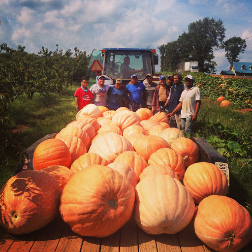 Farm «Jaemor Farms», reviews and photos, 5340 Cornelia Hwy, Alto, GA 30510, USA