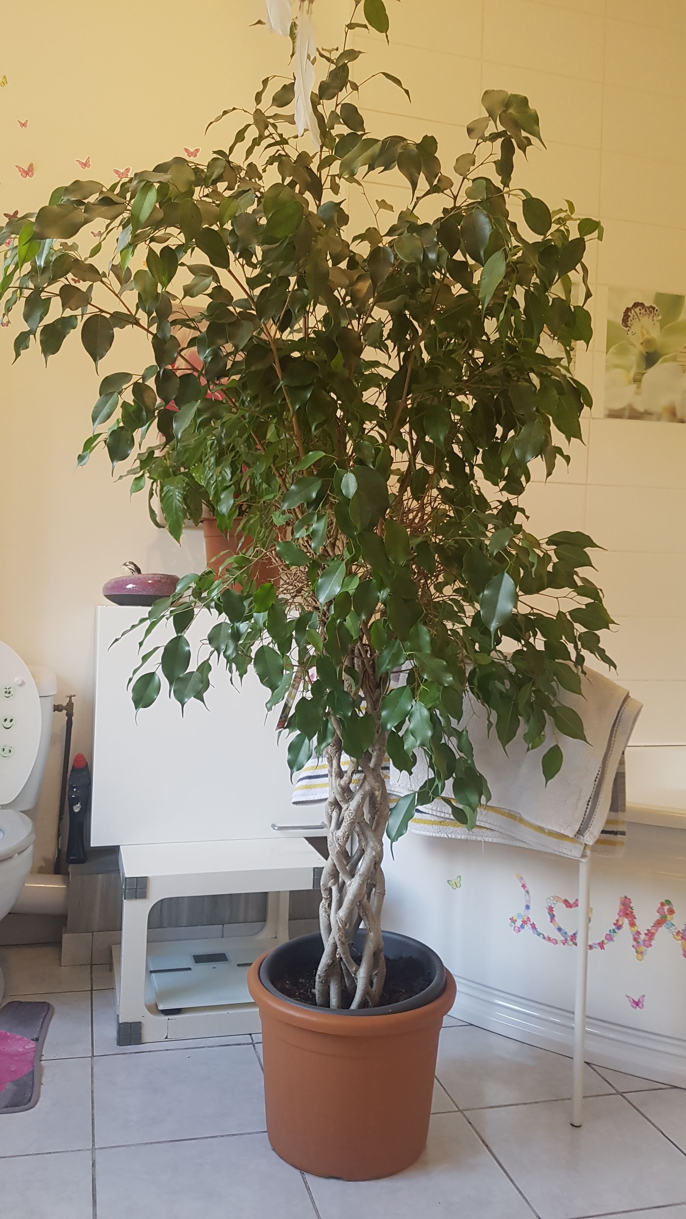 Photo n° 1 de l'avis de Nathalie.r fait le 13/04/2019 à 16:48