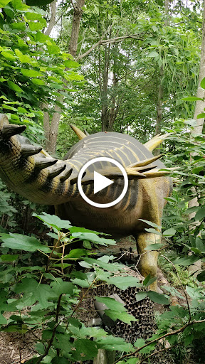 Water Park «Zoombezi Bay», reviews and photos, 10101 Riverside Dr, Powell, OH 43065, USA