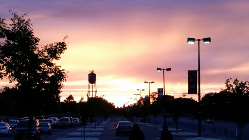 Casino «Casino @ Delaware Park», reviews and photos, 777 Delaware Park Blvd, Wilmington, DE 19804, USA