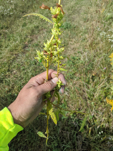 Nature Preserve «Penny Road Pond», reviews and photos, Penny Rd, Barrington, IL 60010, USA