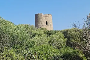 Torre di Vignola image