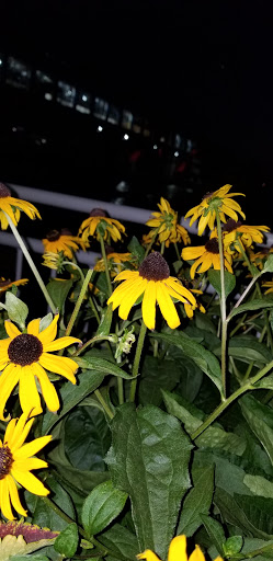 Bowling Alley «Bowlmor Chelsea Piers», reviews and photos, NY-9A, New York, NY 10011, USA