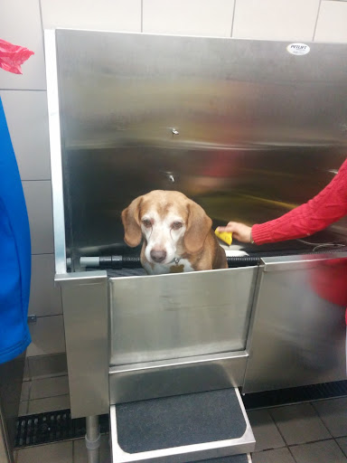 Pet Supply Store «Pet Supplies Plus», reviews and photos, 3060 N Lewis Ave, Waukegan, IL 60087, USA