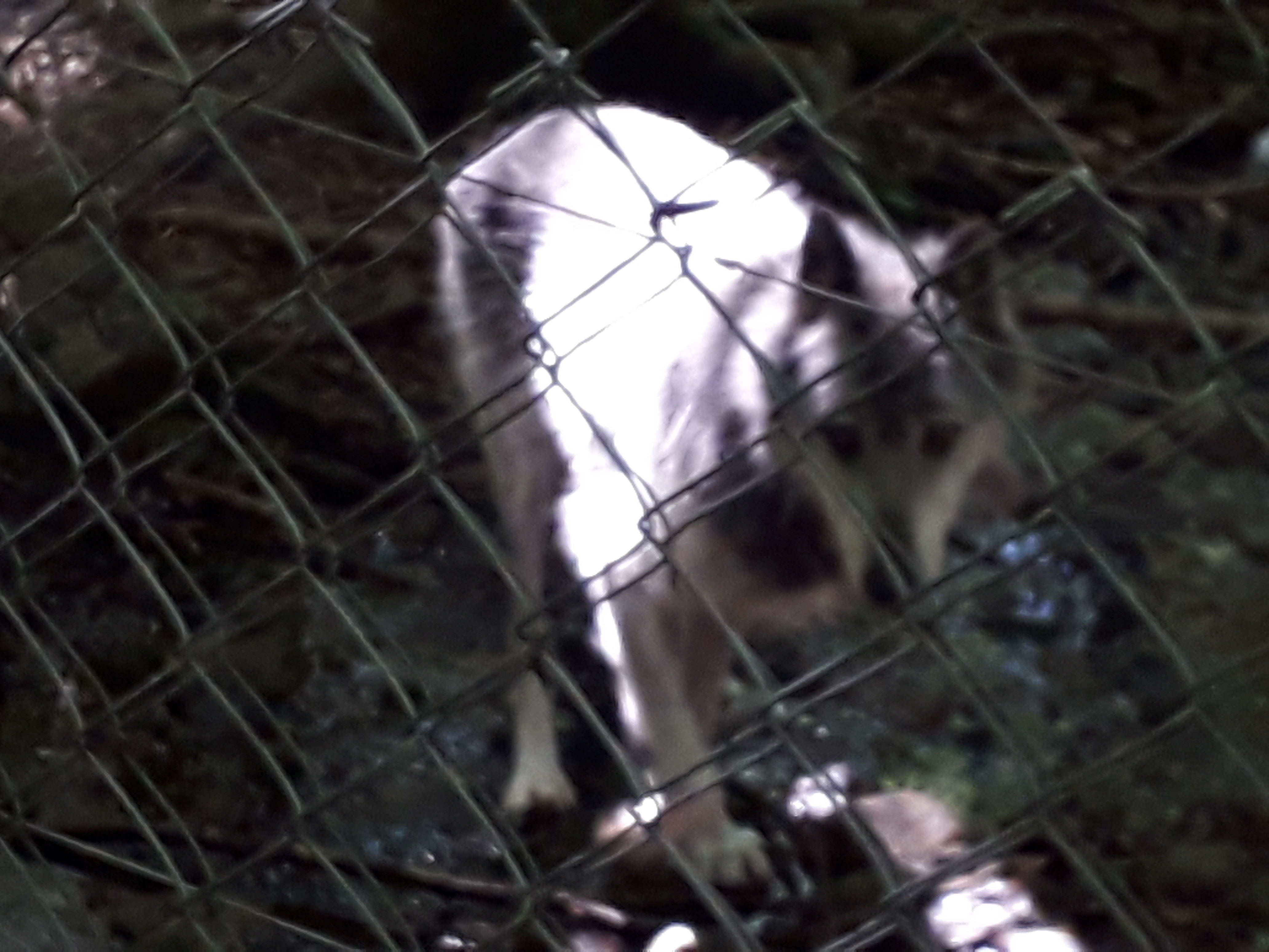 Photo n° 26 de l'avis de Franck.i fait le 19/07/2020 à 15:45