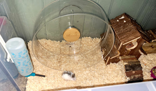 Pet Supply Store «Petco Animal Supplies», reviews and photos, 4915 E 41st St C, Tulsa, OK 74135, USA