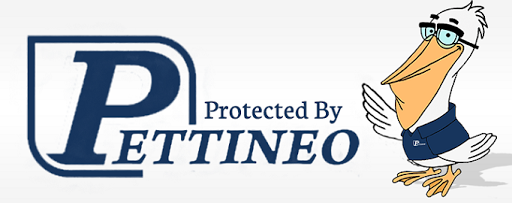 Pettineo Insurance Agency Inc., 2430 E Commercial Blvd, Fort Lauderdale, FL 33308, Insurance Agency