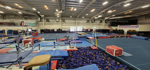 Gymnastics Center «Golden City Gymnastics», reviews and photos, 930 Lithia Pinecrest Rd, Brandon, FL 33511, USA