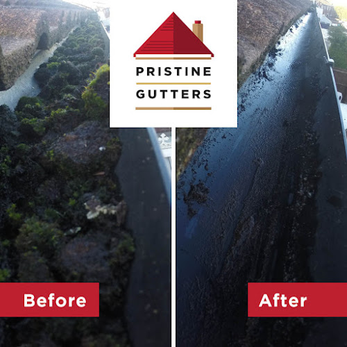 Pristine Gutters - House cleaning service