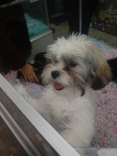 Pet Store «Pet City», reviews and photos, 14200 E Alameda Ave #2036, Aurora, CO 80012, USA