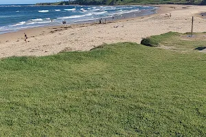 Bark at the Beach image