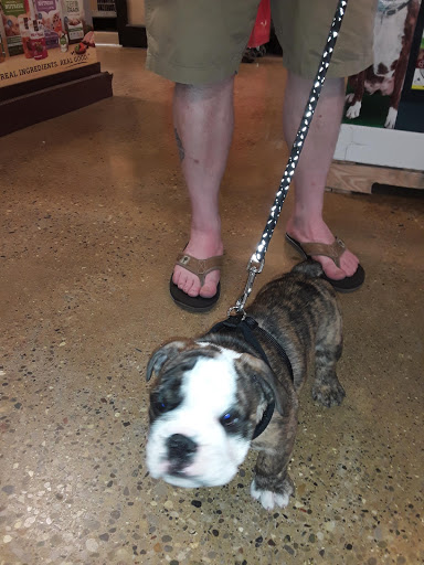 Pet Supply Store «PetSmart», reviews and photos, 3500 IN-38, Lafayette, IN 47905, USA