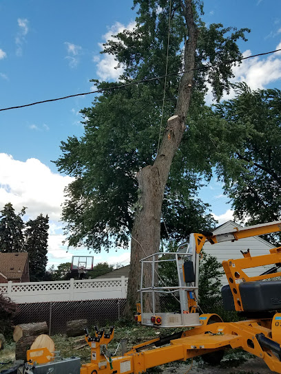 Father & Sons Tree Service