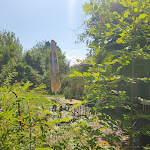 Photo n°4 de l'avis de Heidi.j fait le 04/08/2023 à 20:02 sur le  Herrmanns Marktwirtschaft à Märkisch Buchholz