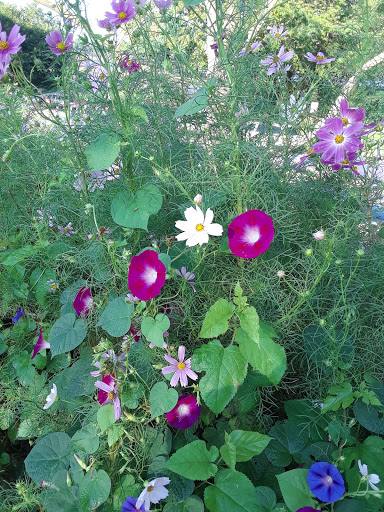 Park «Harris Park», reviews and photos, Goulden Ave, Bronx, NY 10468, USA