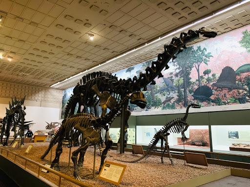 Natural History Museum «Yale Peabody Museum of Natural History», reviews and photos, 170 Whitney Ave, New Haven, CT 06511, USA