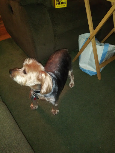 Pet Supply Store «Petco Animal Supplies», reviews and photos, 6885 Southland Dr, Middleburg Heights, OH 44130, USA