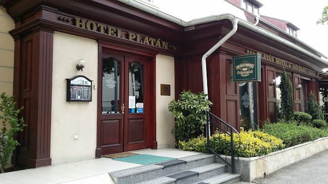 Platán Hotel - Sárvár