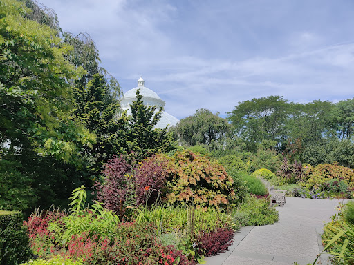 Gift Shop «NYBG Shop», reviews and photos, 2900 Southern Blvd, Bronx, NY 10458, USA