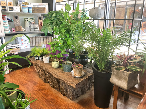 Florist «Lotus Flower Shop», reviews and photos, 7240 Nolensville Rd Ste. 205 Ste. 205, Nolensville, TN 37135, USA