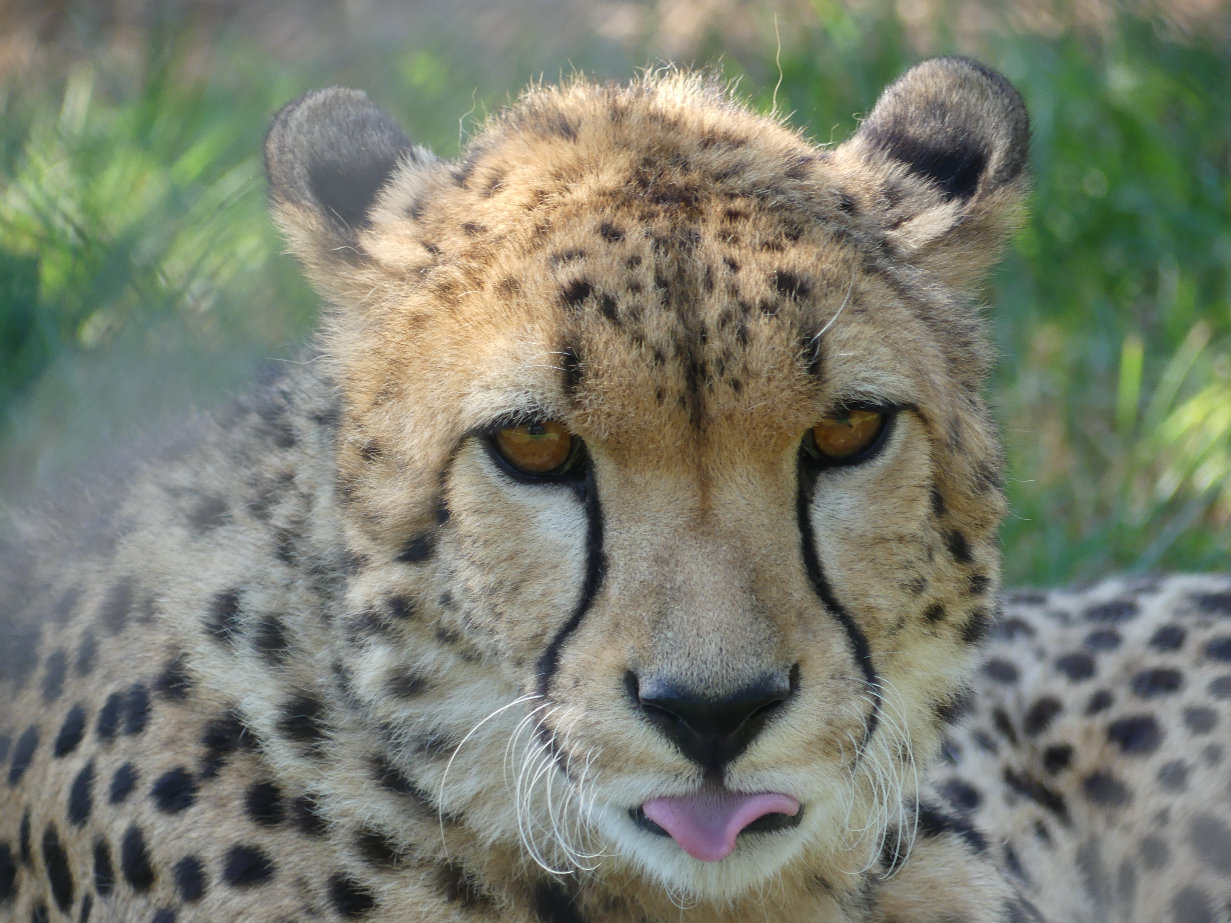 Photo n° 7 de l'avis de Laurent.e fait le 07/08/2022 à 15:26