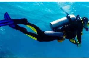 Raj Scuba Diving & Snorkeling image