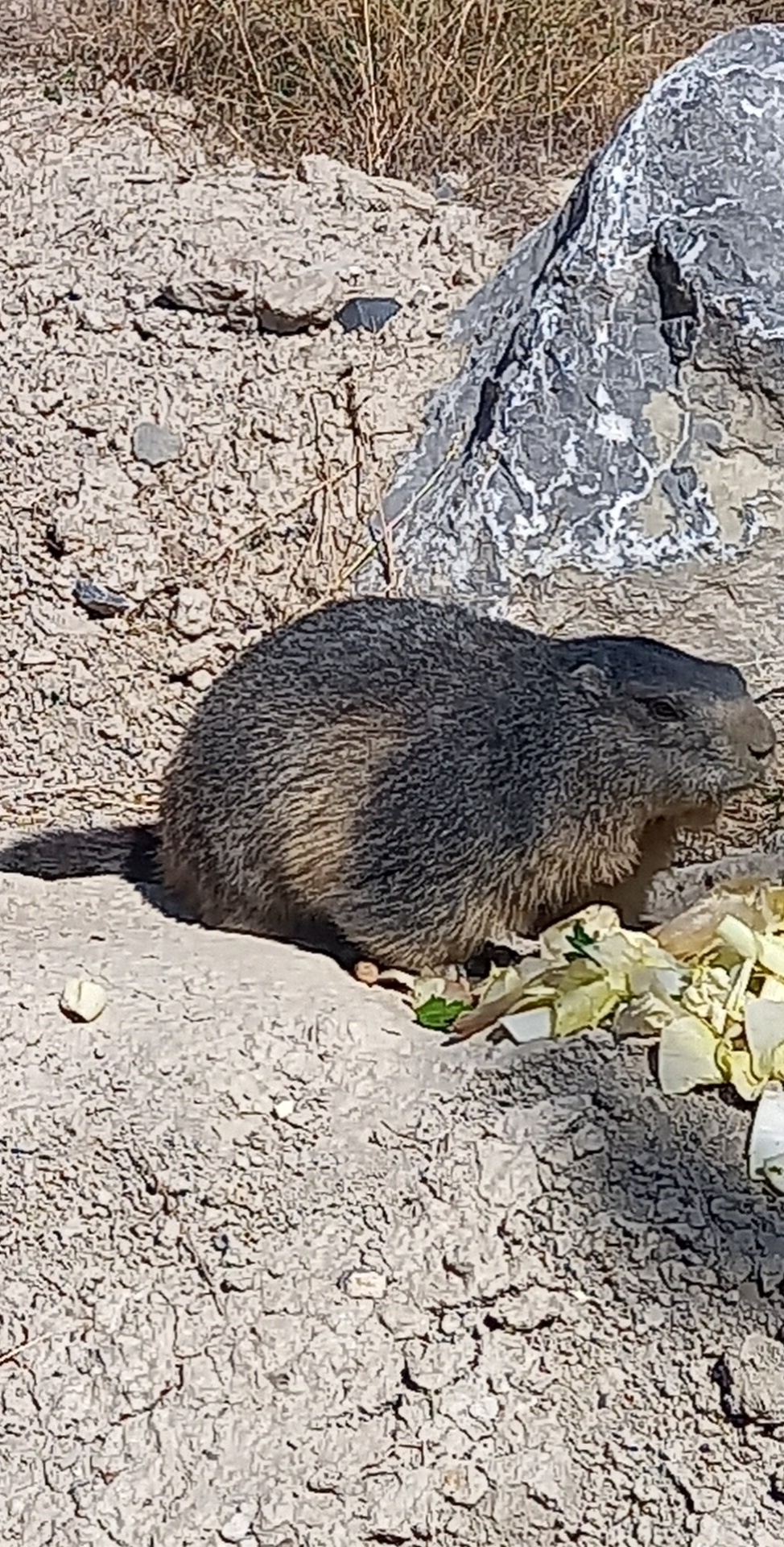 Photo n° 2 de l'avis de Gwendoline.r fait le 13/08/2022 à 20:08