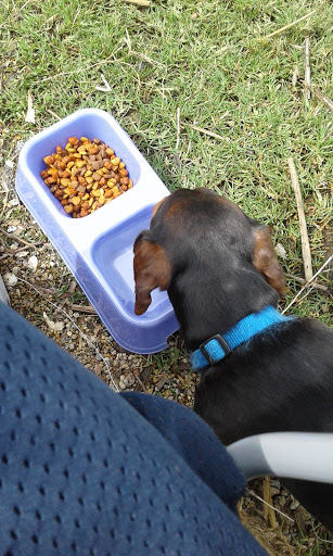 Tourist Attraction «Calaveras Lake Entrance», reviews and photos, 12965 Bernhardt Rd, San Antonio, TX 78263, USA