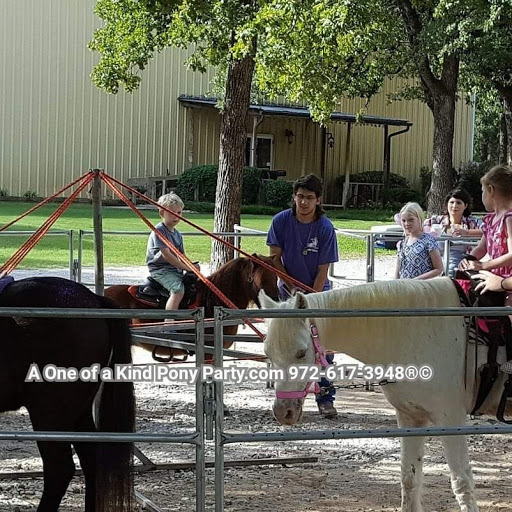 Zoo «A One of A Kind Pony Party», reviews and photos, 912 Bells Chapel Cir, Waxahachie, TX 75165, USA