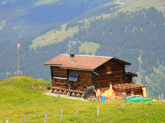 Rezensionen über Naturfreundehaus Arosa in Davos - Matratzengeschäft