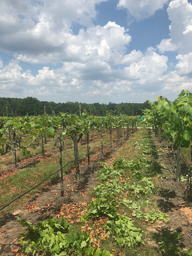 Winery «Little Vine Vineyards», reviews and photos, 665 N Hulett Rd, Villa Rica, GA 30180, USA