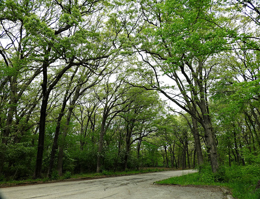 Nature Preserve «Maple Lake East - Mountain Bike Staging Area», reviews and photos, 9500 Willow Springs Rd, Willow Springs, IL 60480, USA