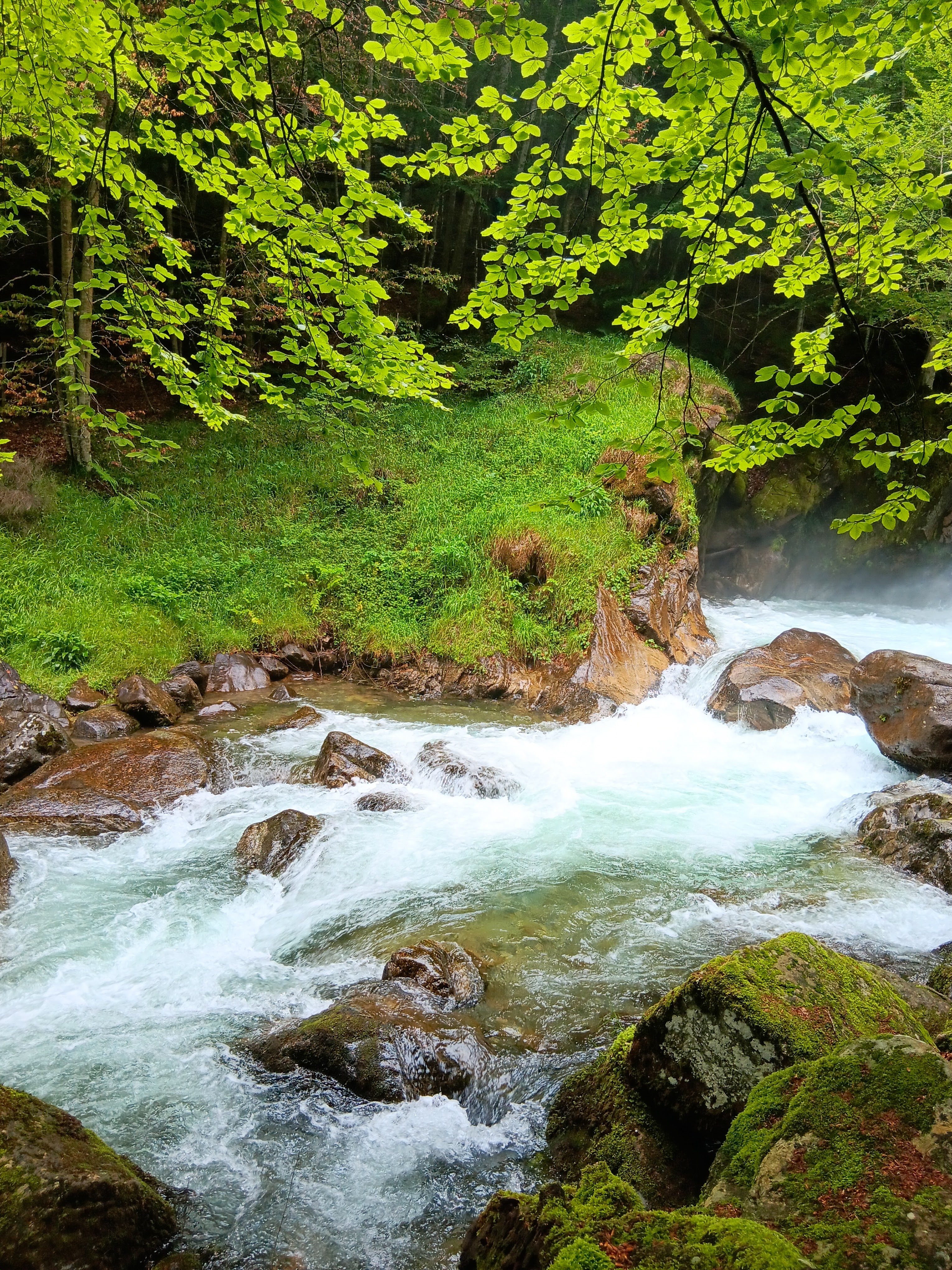 Photo n° 2 de l'avis de Sylvie.R fait le 22/06/2023 à 12:07