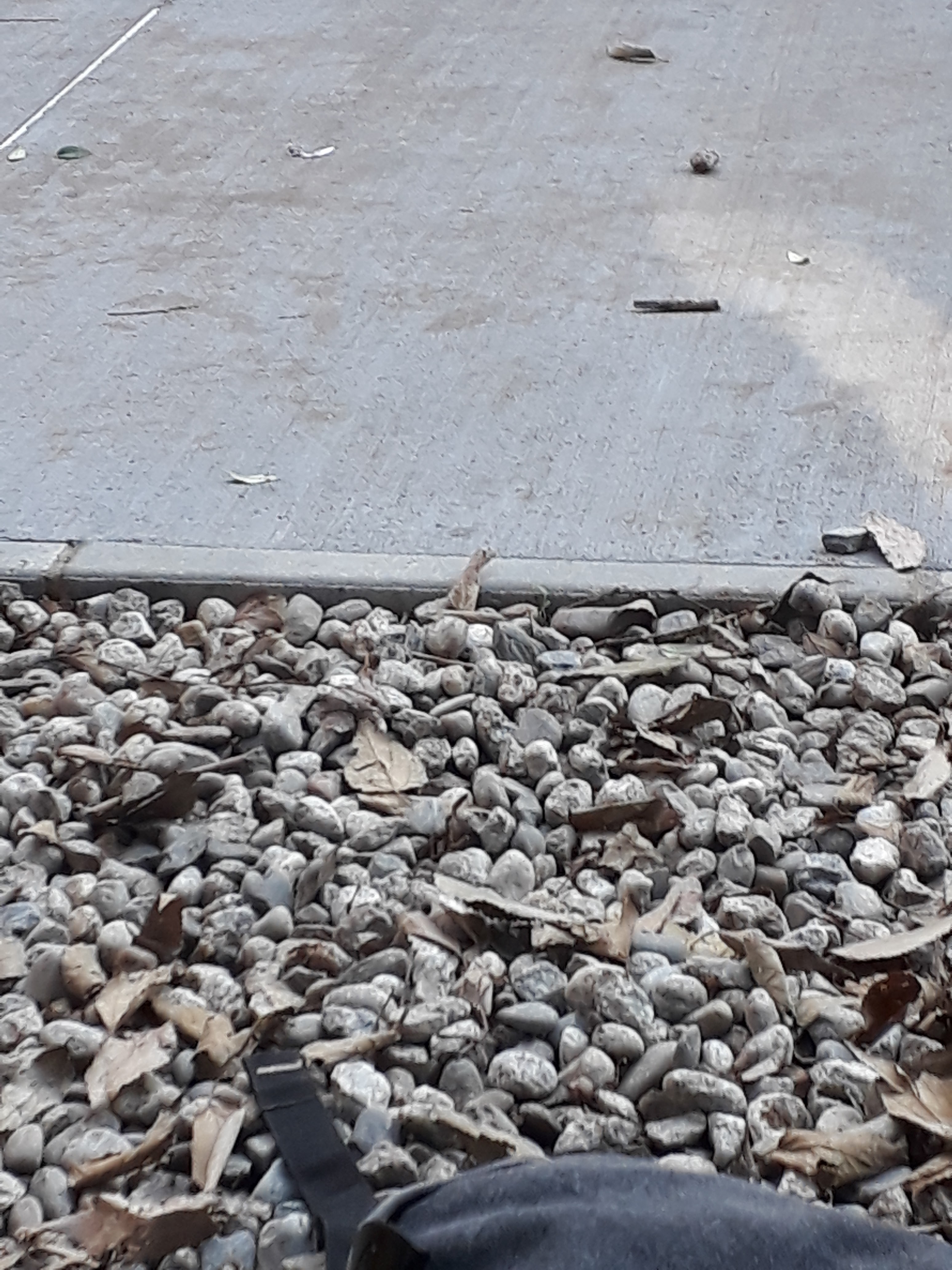 Photo n° 39 de l'avis de William.m fait le 11/12/2018 à 12:09
